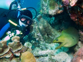 John and Green Moray Eel IMG 5597